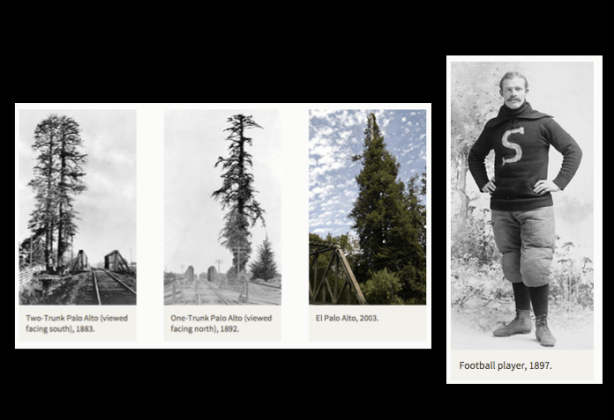 Screen Shot 2015-02-09 at 9.56.44 am